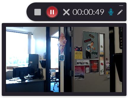 When recording with only a camera as the video source, a screen appears below the recording panel.