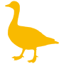 Goose Icon