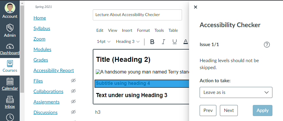After clicking the Accessibility Checker icon, if there is any accessibility issue, the panel on the right will show you.