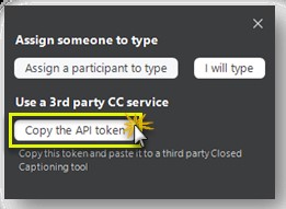 Use 3rd party CC service, Copy the API token button selected.