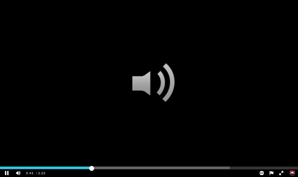 An audio-only playing from mymedia. A speaker icon is representing the media.