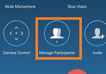 An orange box highlighting the Manage Participants; button on the Zoom control panel.