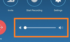The volume slider in the Zoom controls.