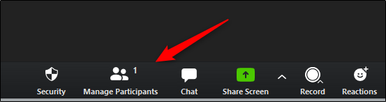 Zoom Meeting Controls with red arrow pointing to Manage Participants button
