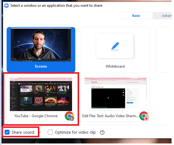 Screenshot of window that pops up When selecting an application to share on Zoom. Highlights specific window and box to share sound.