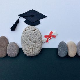 a rock with a diploma
