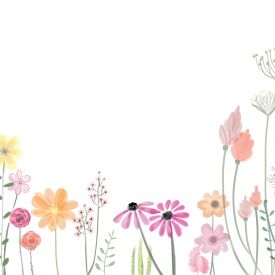 a variety of flowers drawn in pastel colors
